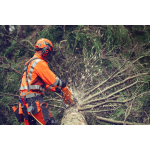 Tronçonneuse 564XP 50RSN