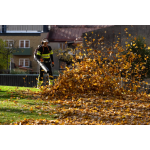 Souffleur à dos 590BTS