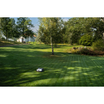 Robot de tonte AM450V NERA