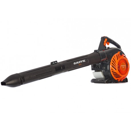 Aspiro-souffleur SG2C